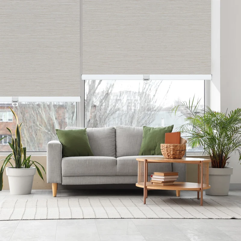 Cordless | Blackout | Cassette | Free-Stop | Roller Shades | Customizable