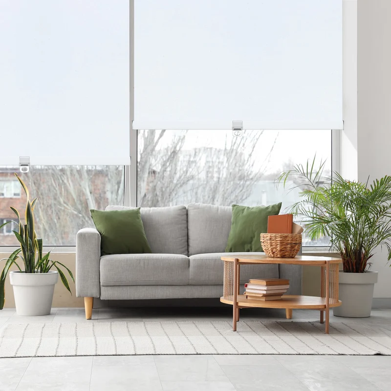 Cordless | Blackout | Cassette | Free-Stop | Roller Shades | Customizable