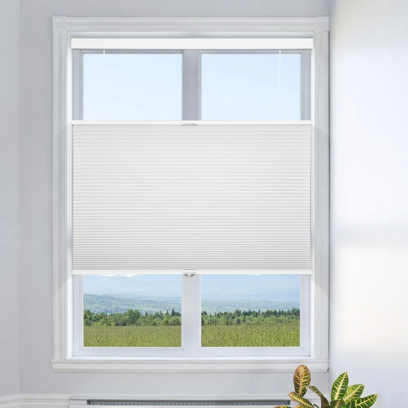 Cordless | Top Down Bottom Up | Blackout | Cellular Shades