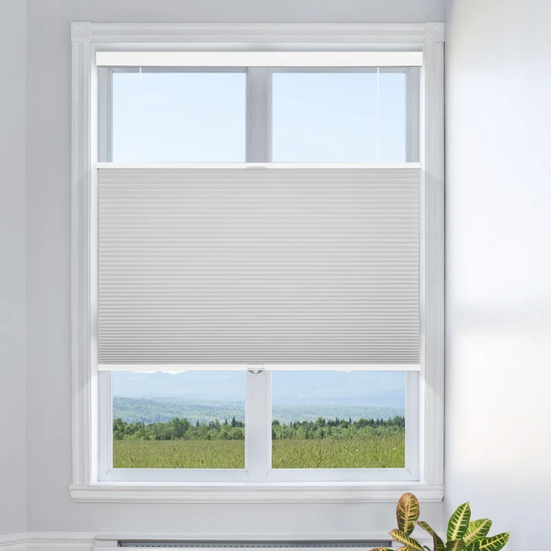 Cordless | Top Down Bottom Up | Blackout | Cellular Shades