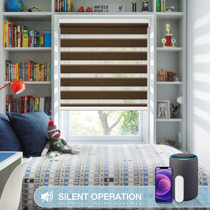 Motorized | Light Filtering | Rechargeable | Zebra Shades | Customizable