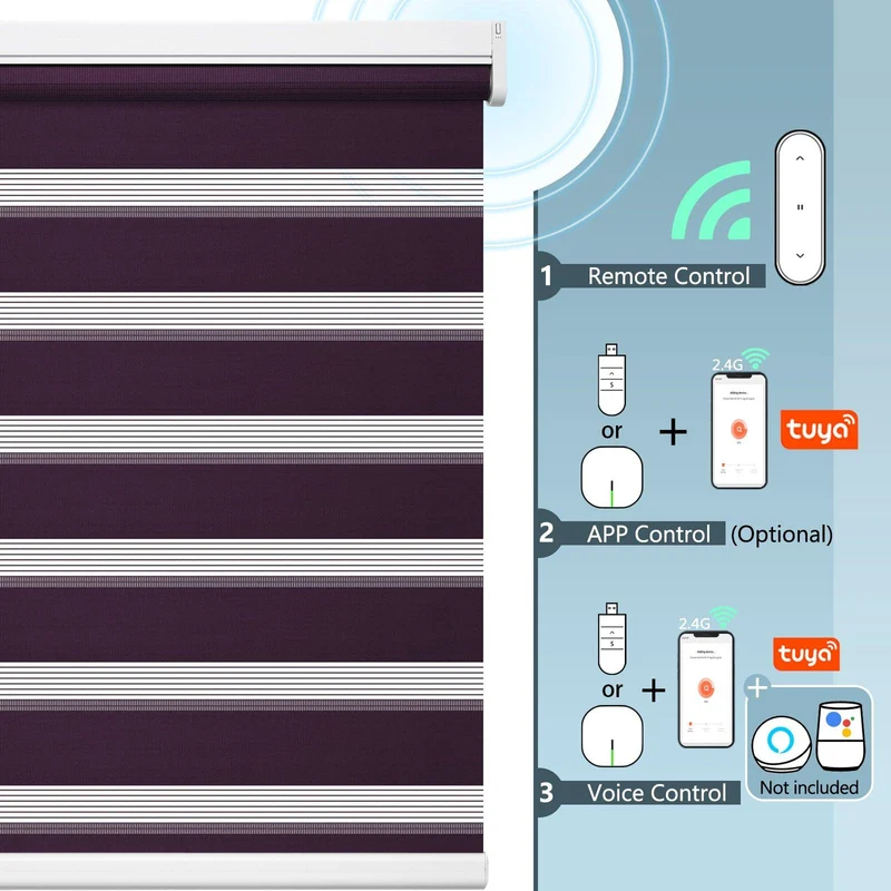 Motorized | Light Filtering | Rechargeable | Zebra Shades | Customizable