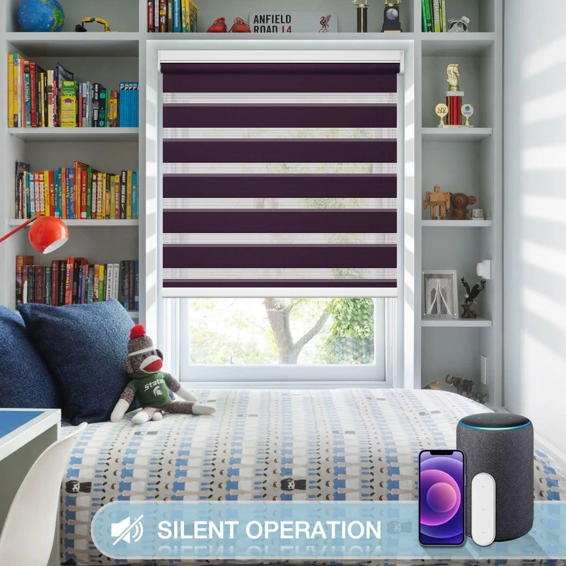 Motorized | Light Filtering | Rechargeable | Zebra Shades | Customizable
