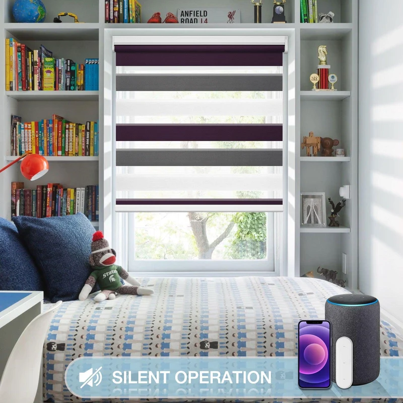 Motorized | Light Filtering | Rechargeable | Zebra Shades | Customizable
