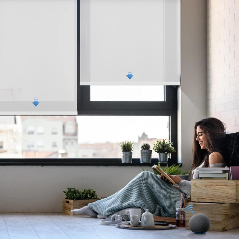 Motorized | Light Filtering | Rechargeable | Roller Shades | Customizable