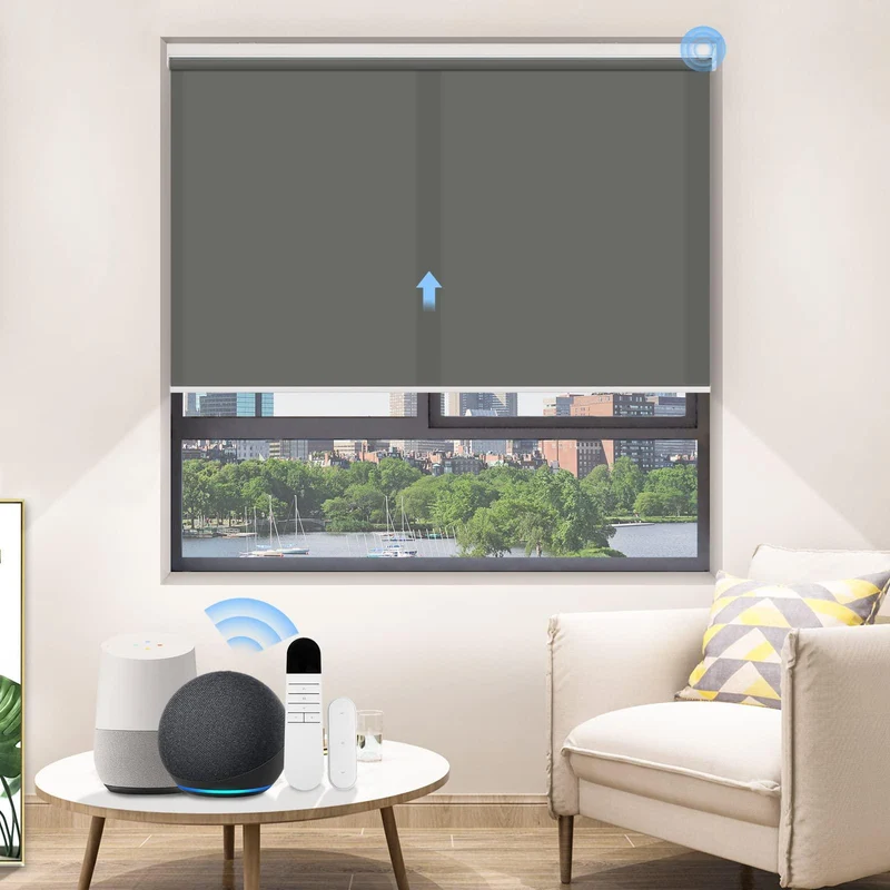 Motorized | Light Filtering | Rechargeable | Roller Shades | Customizable