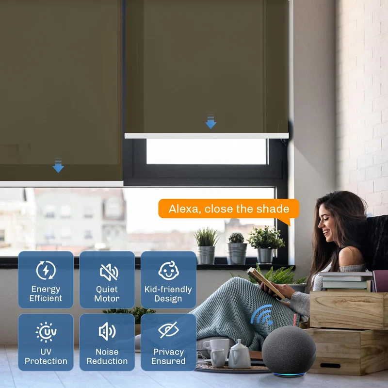 Motorized | Light Filtering | Rechargeable | Roller Shades | Customizable