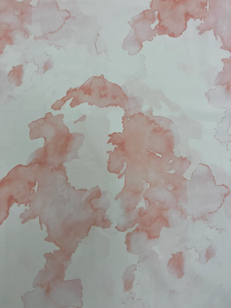 No. 1565 Baumwoll Popelin Aquarel | 2,50m