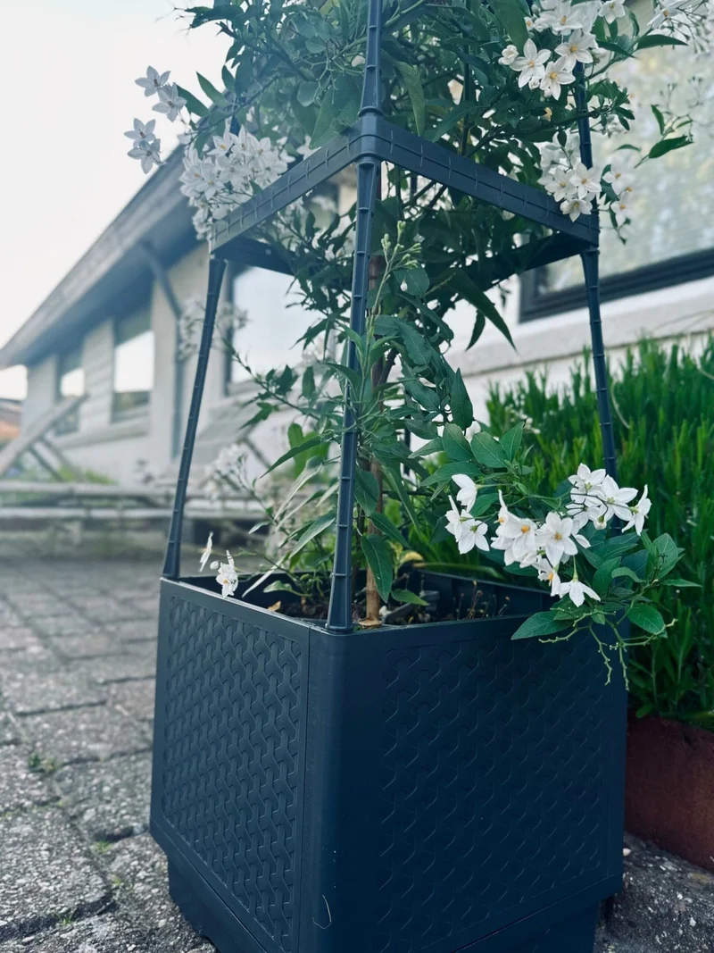 Pflanzenturm für Tomaten und Kletterpflanzen