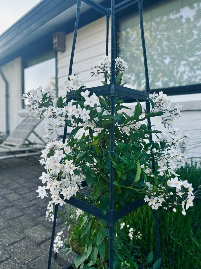 Pflanzenturm für Tomaten und Kletterpflanzen
