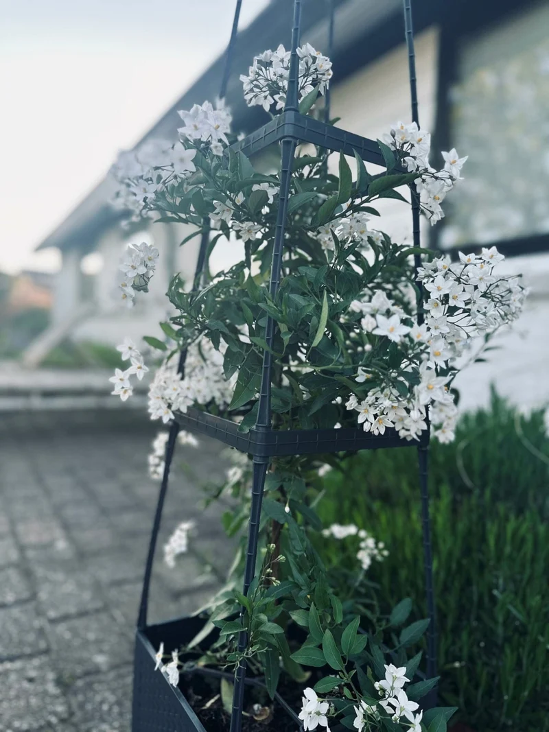 Pflanzenturm für Tomaten und Kletterpflanzen