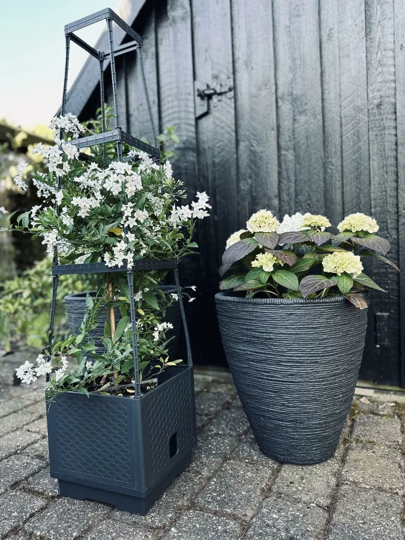 Pflanzenturm für Tomaten und Kletterpflanzen