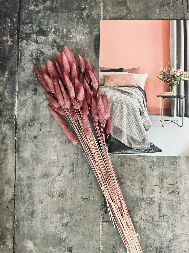 Getrocknete Blumen – Rose