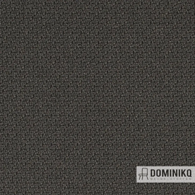 Gabriel - Step -60021