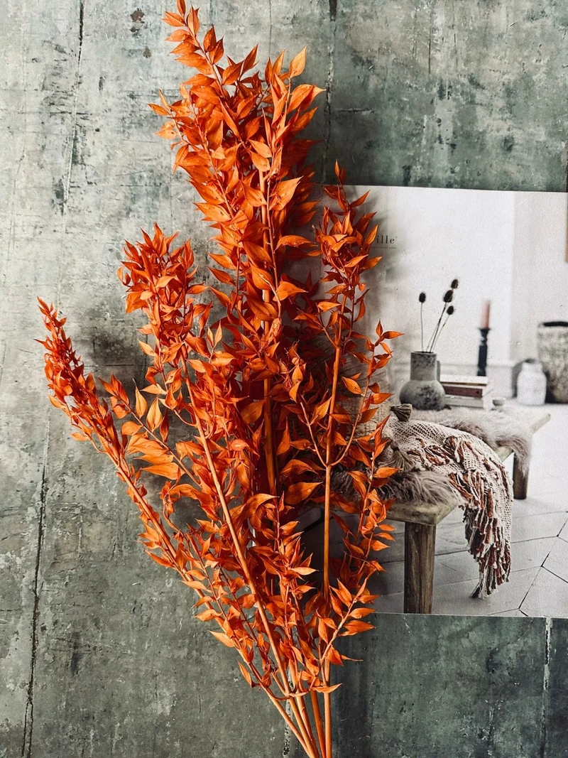 Getrocknete Blumen – Orange