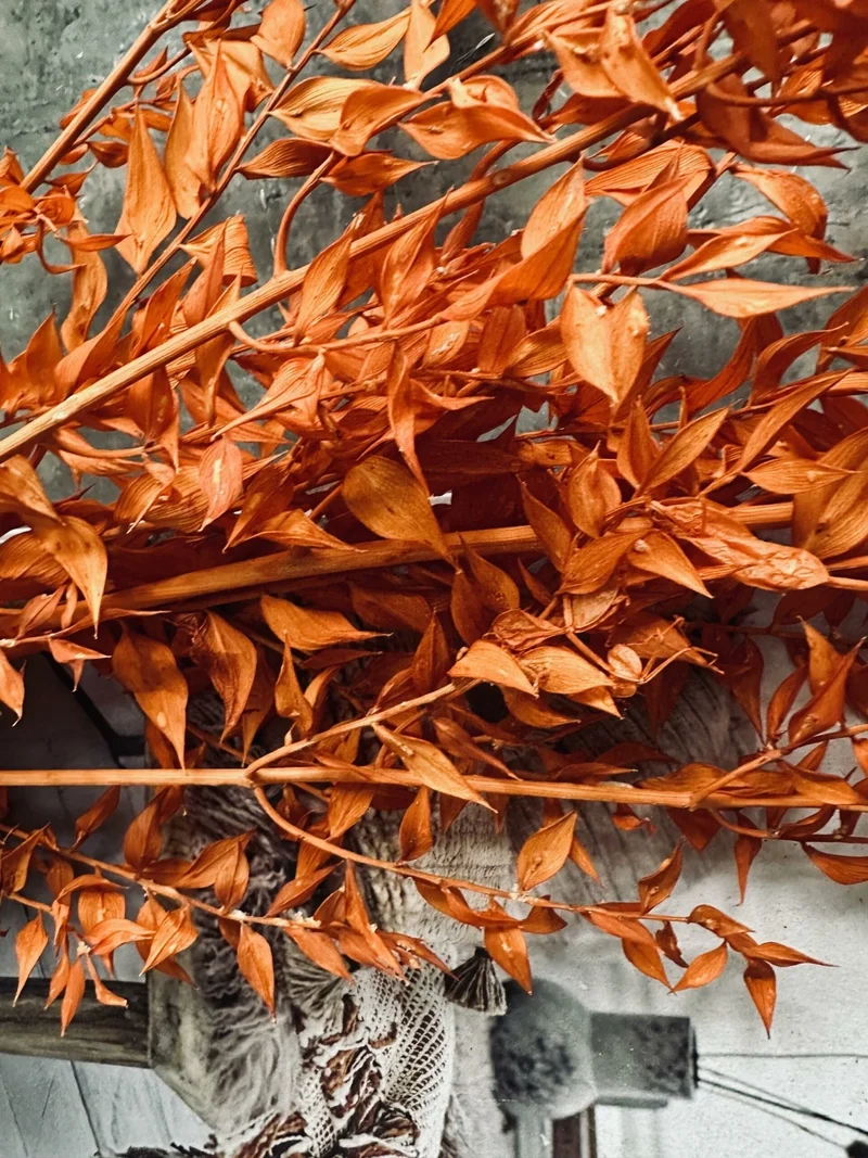 Getrocknete Blumen – Orange