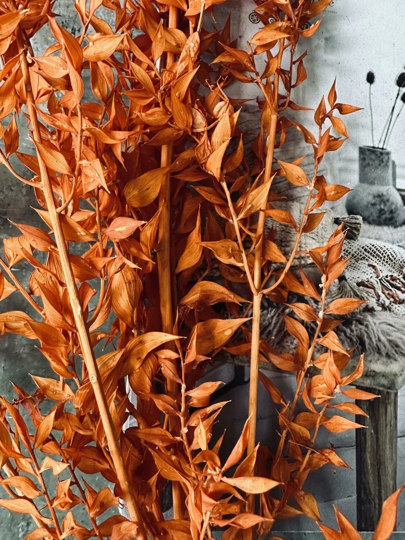 Getrocknete Blumen – Orange