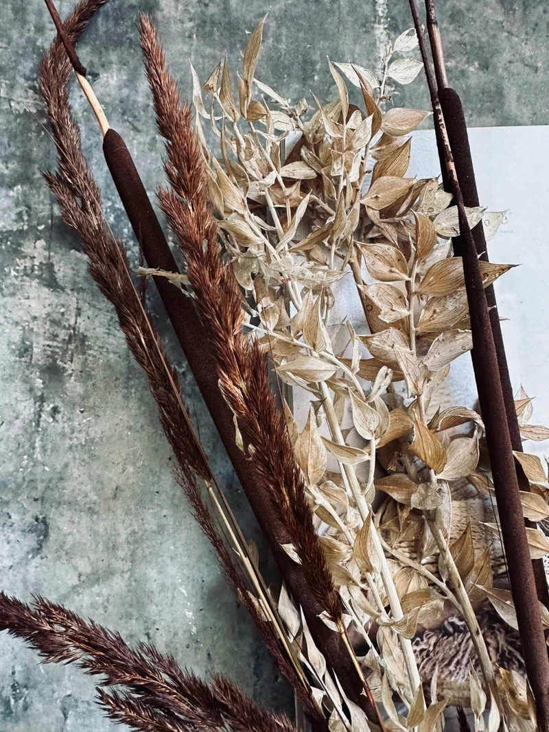 Getrocknete Blumen – Brown Mix