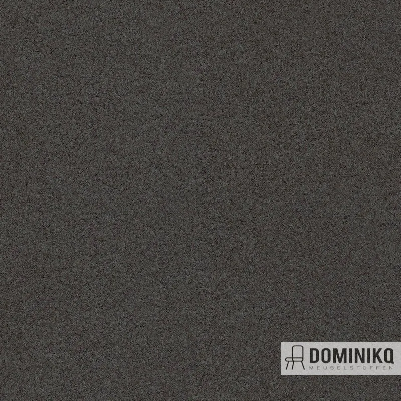 Gabriel - Comfort+ -0049