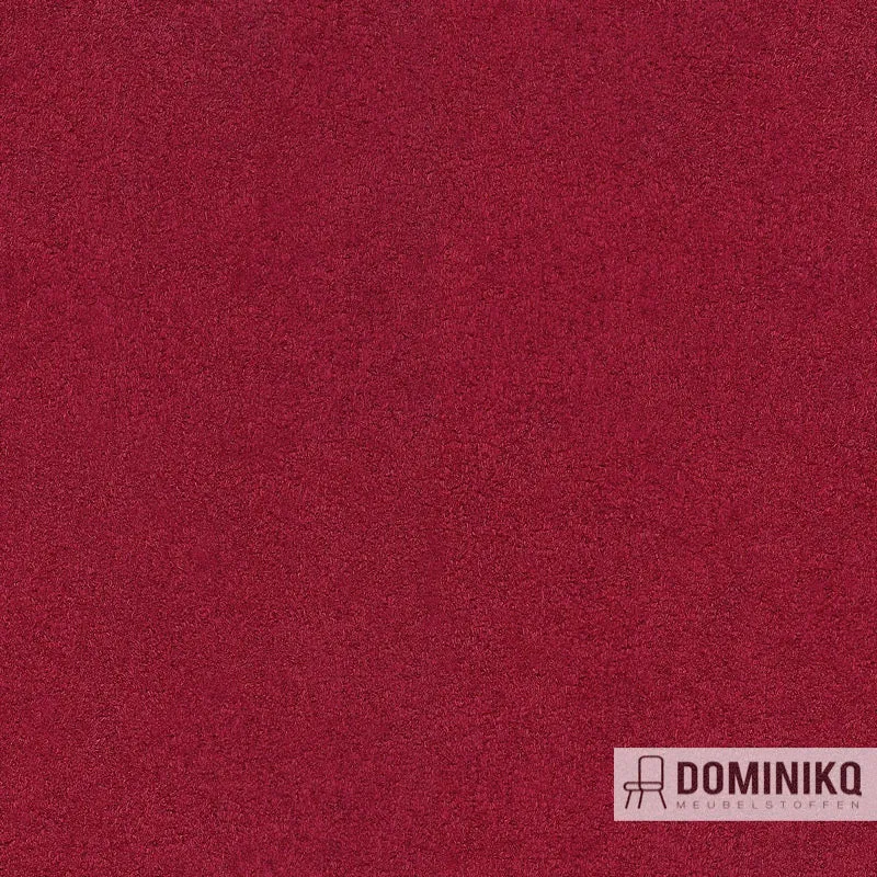 Gabriel - Comfort+ -0029