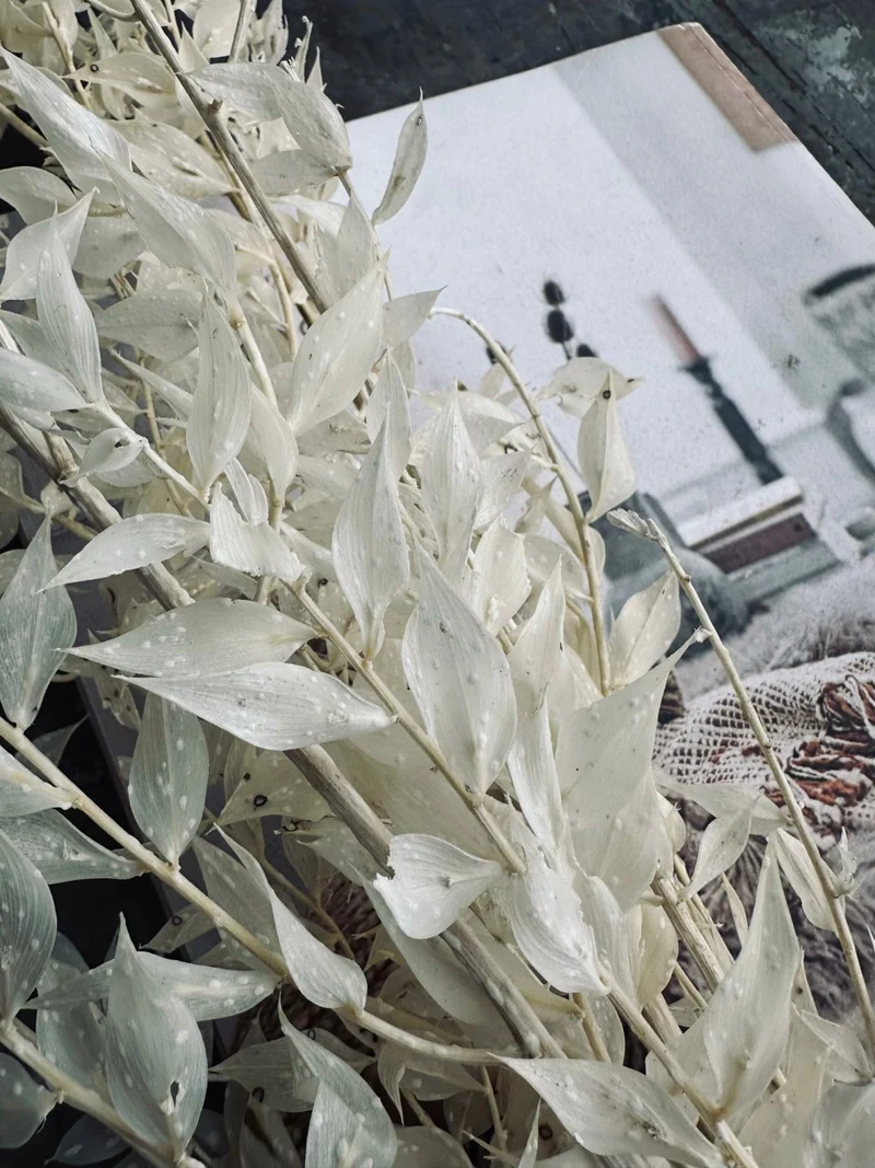 Trockenblumen – White ROSSA