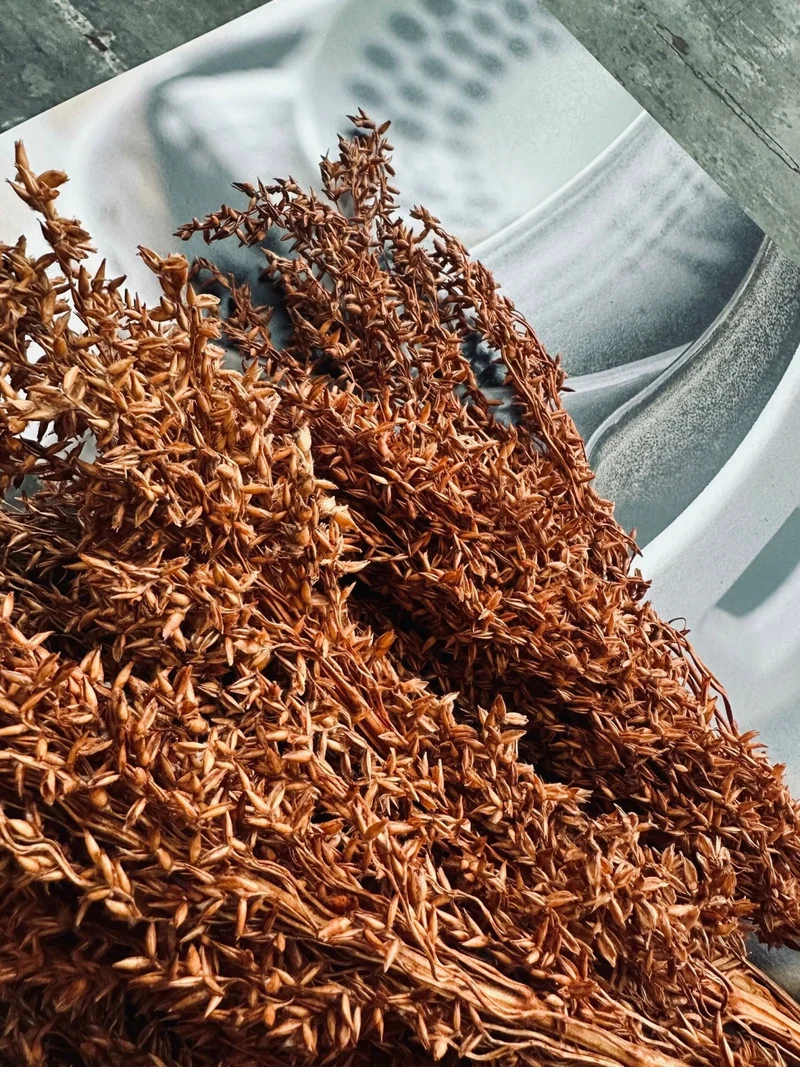 Getrocknete Blumen – Gold