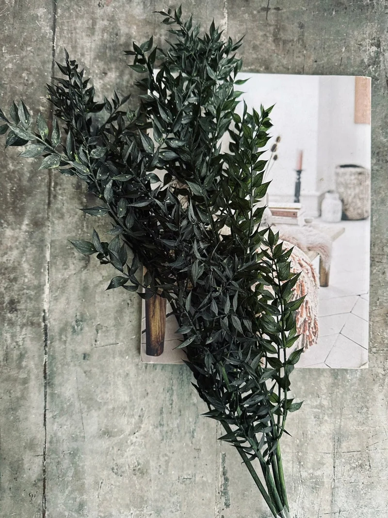 Getrocknete Blumen – Dark green ROSSA