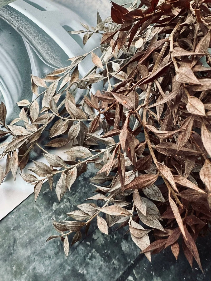Getrocknete Blumen – Brown ROSSA