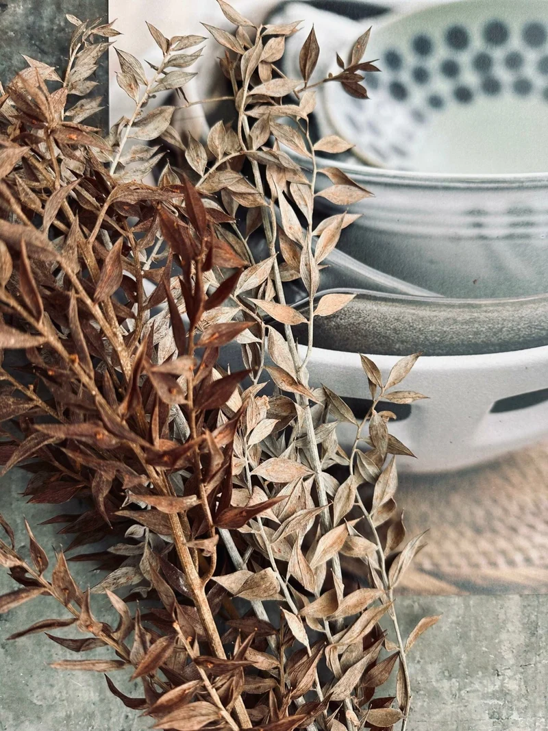 Getrocknete Blumen – Brown ROSSA