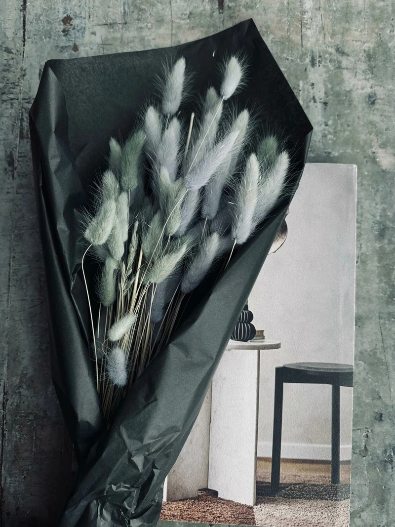 Lagurus – Grey Mist