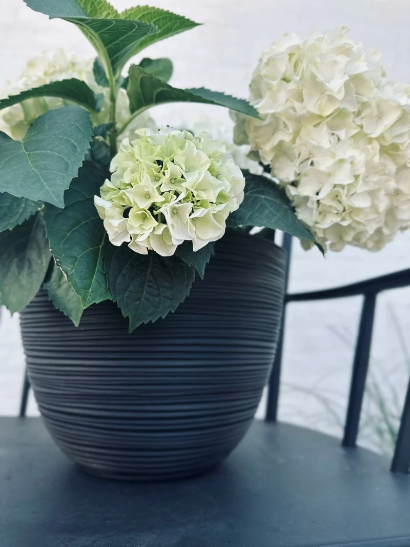 Blumenkübel mit Rillen – Black medium