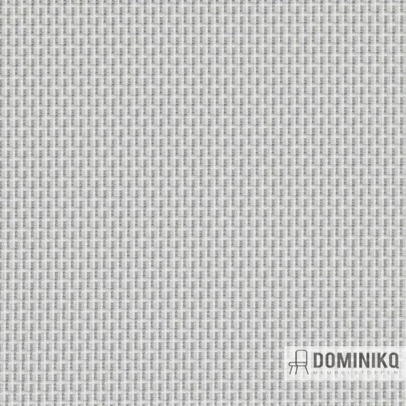 Gabriel - Vivid - 1001
