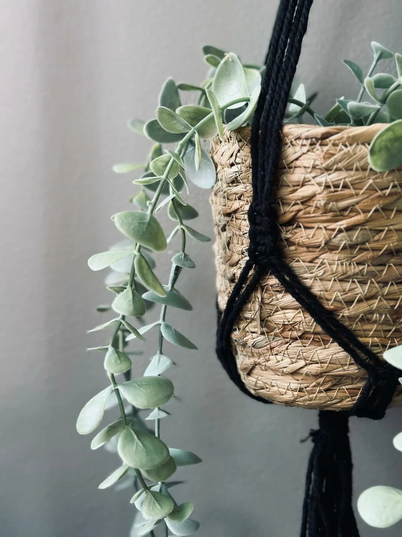 Hängeampel für Blumentöpfe – Nature mix