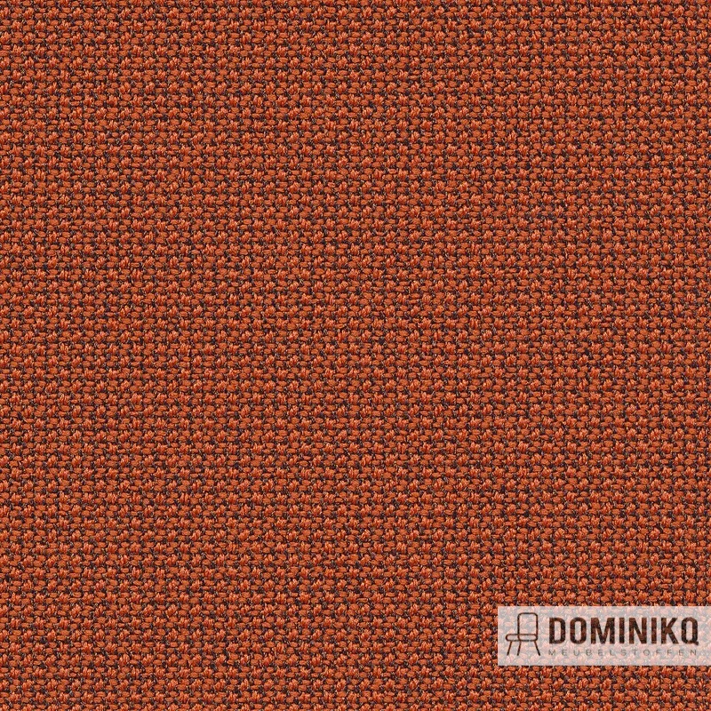 Gabriel - Cura - 63078