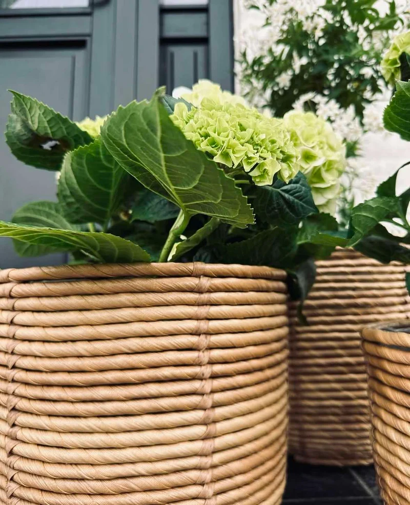 Pflanzkörbe RATTAN BIG - Set mit 3 Größen