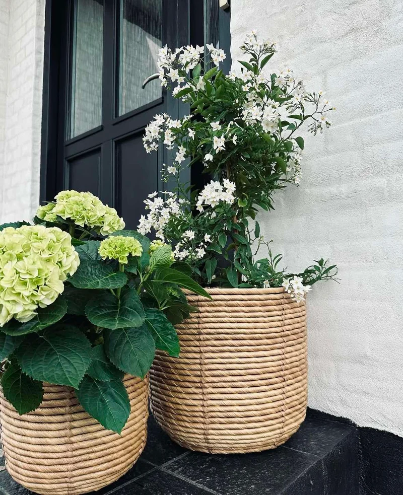 Pflanzenkörbe RATTAN – Set mit 3 Größen