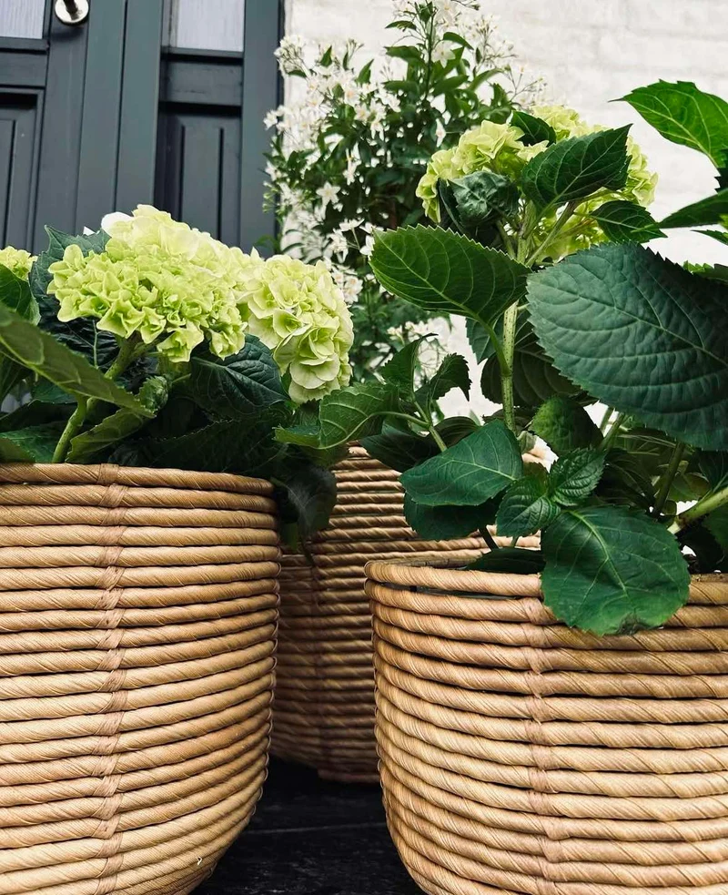 Pflanzenkörbe RATTAN – Set mit 3 Größen