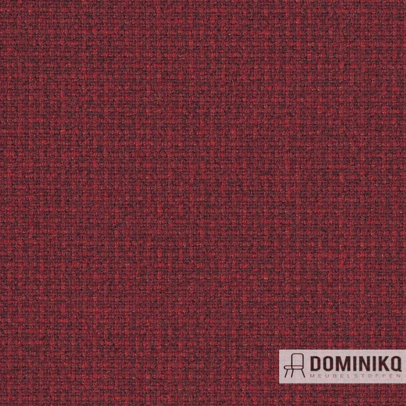 Gabriel - Blend -2801
