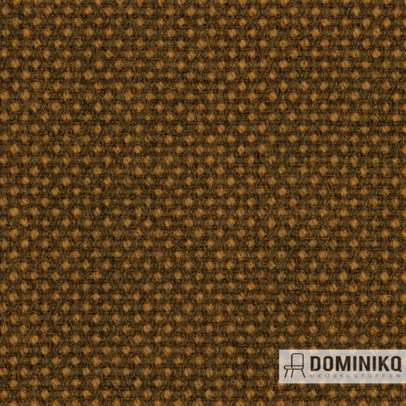 Gabriel - Focus Royal -62518