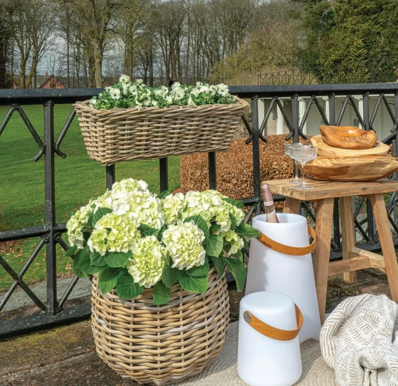 Pflanzenkörbe Sally Nature – 2 Größen