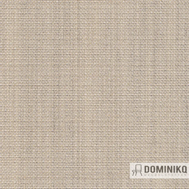 Gabriel - Crisp -4032