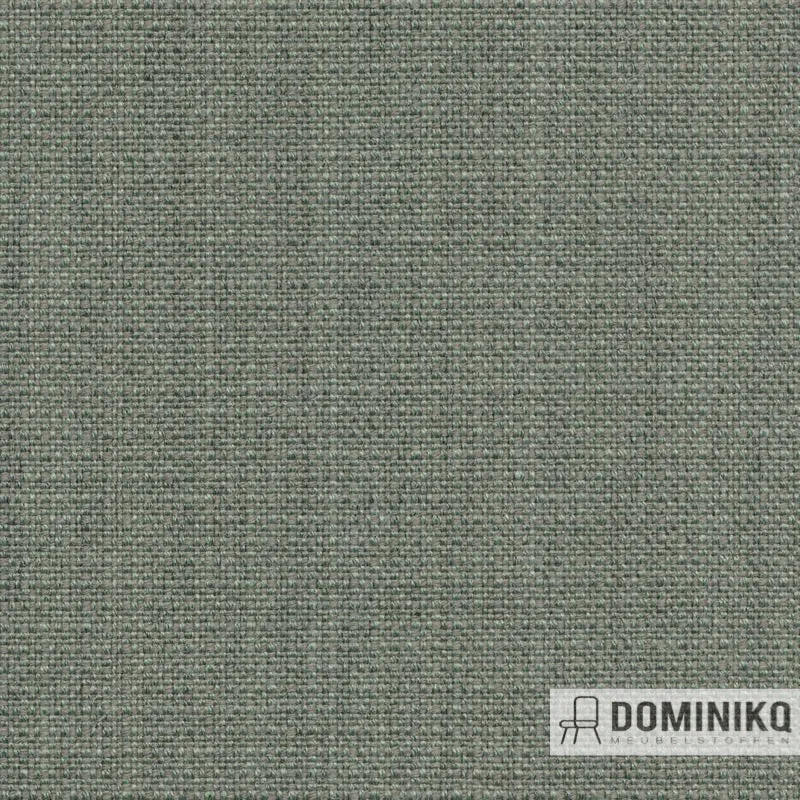 Gabriel - Crisp -4752