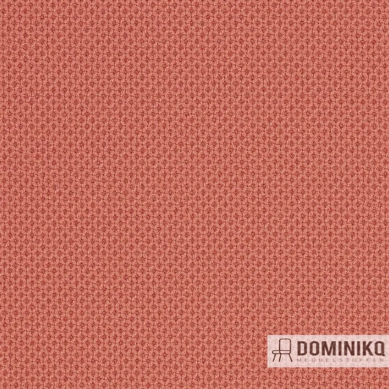 Gabriel - Contour - 64235
