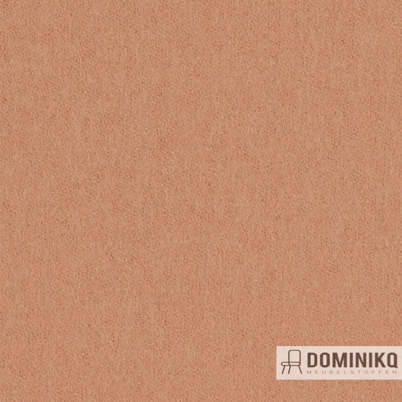 Gabriel - Focus -61035