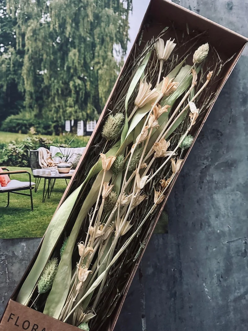 Blumen-Mix-Kästen - Natur Lime