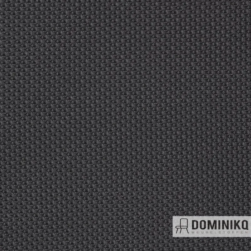 Gabriel - Web -02101