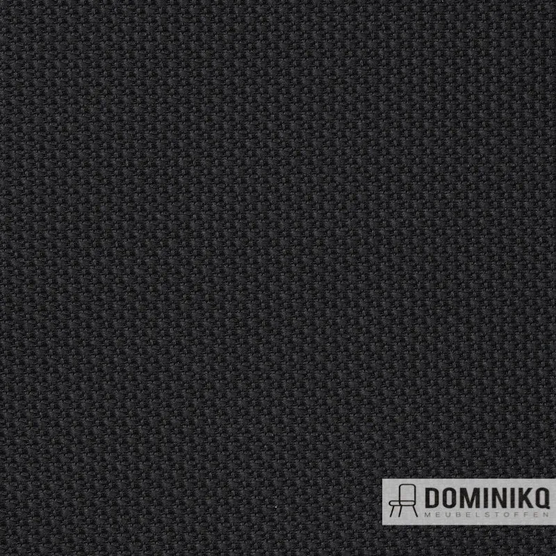 Gabriel - Web - 01101