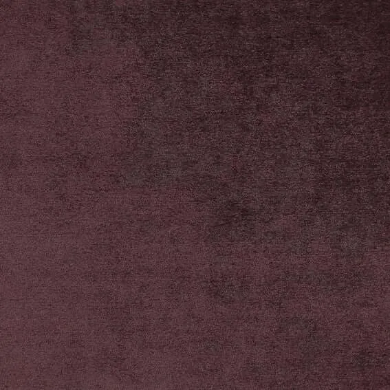 Aristide - Napoleon - 590 Aubergine