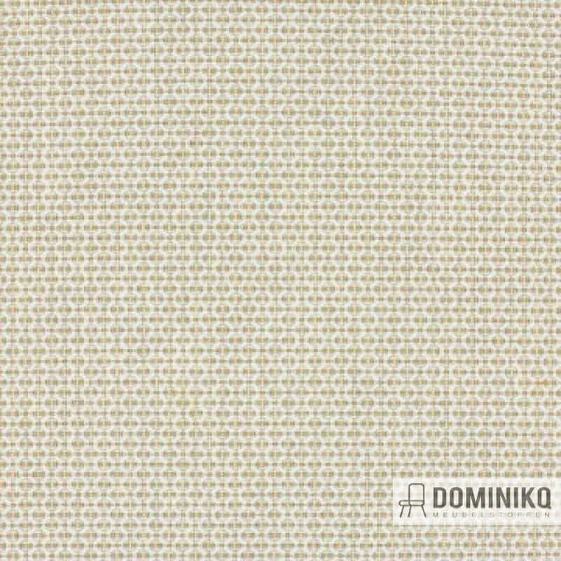 Aristide - Outdoor Yavia - 310 Butterblume