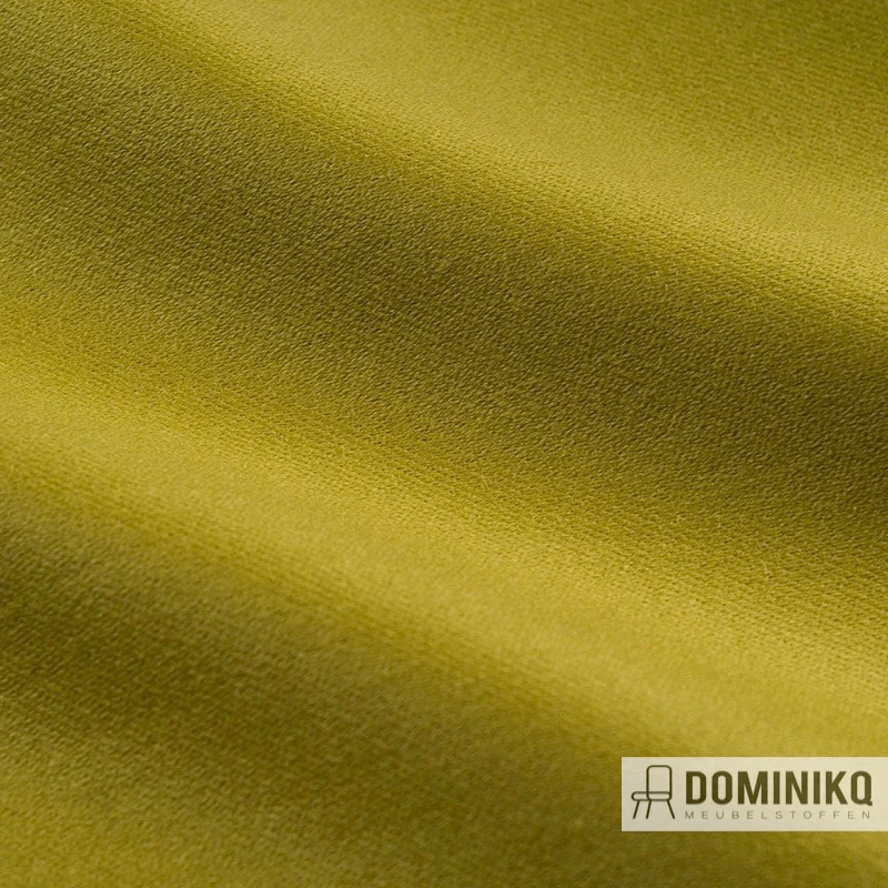 Bute Fabrics - Coast CF944 - 804 Kaktus*